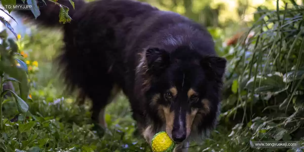 🌟个性设计，让你的运动装备与众不同！✨